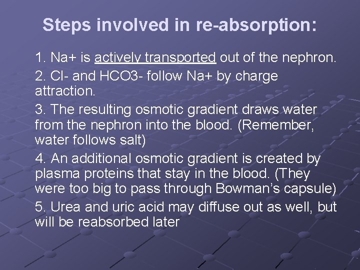 Steps involved in re-absorption: 1. Na+ is actively transported out of the nephron. 2.