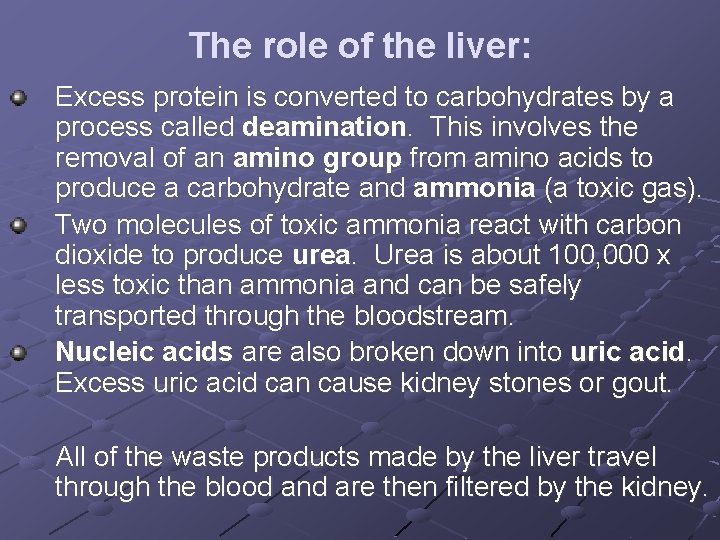 The role of the liver: Excess protein is converted to carbohydrates by a process