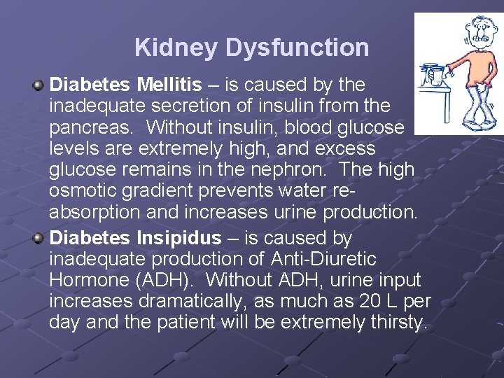 Kidney Dysfunction Diabetes Mellitis – is caused by the inadequate secretion of insulin from