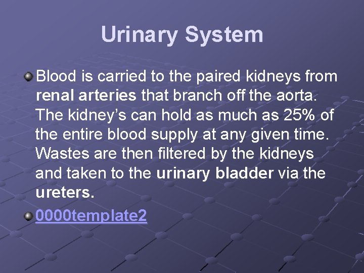 Urinary System Blood is carried to the paired kidneys from renal arteries that branch