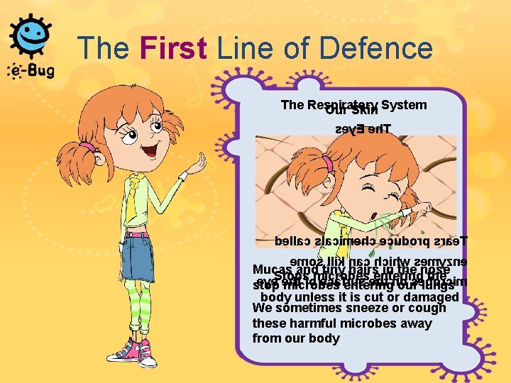 The First Line of Defence The Respiratory Our Skin System sey. E eh. T