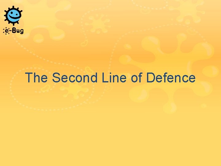 The Second Line of Defence The Second Line of Defence