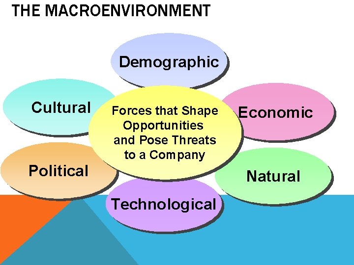 THE MACROENVIRONMENT Demographic Cultural Forces that Shape Opportunities and Pose Threats to a Company