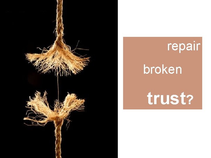 repair broken trust? 