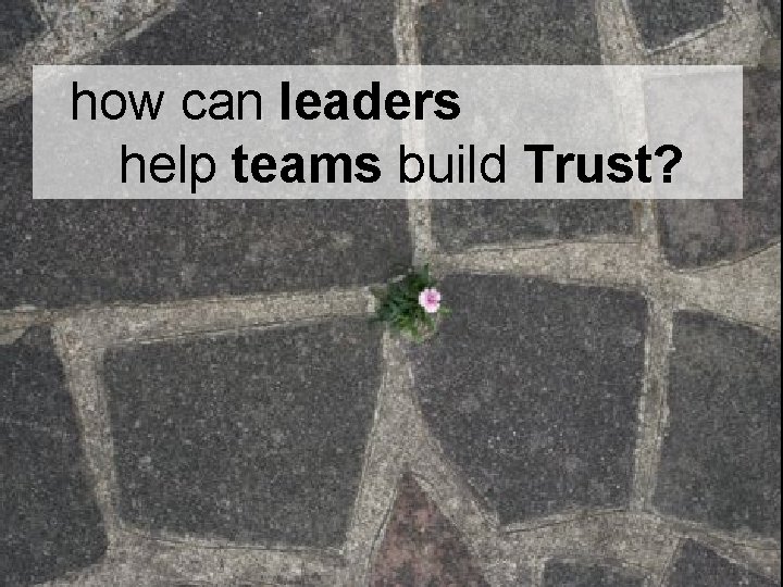Project Management how can leaders help teams build Trust? § Change Management 