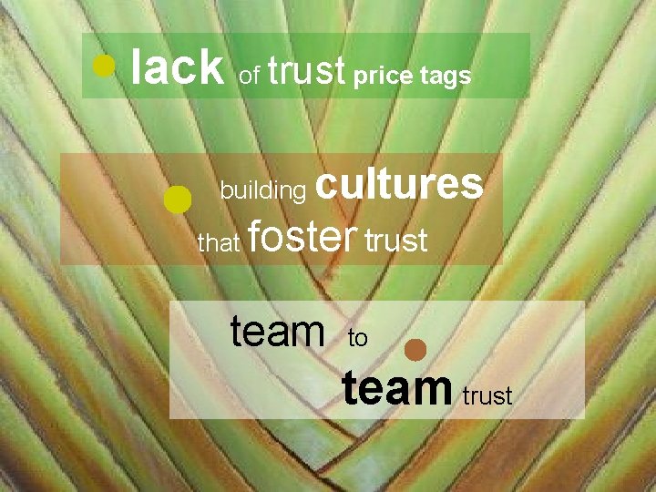 lack of trust price tags cultures that foster trust building team to team trust