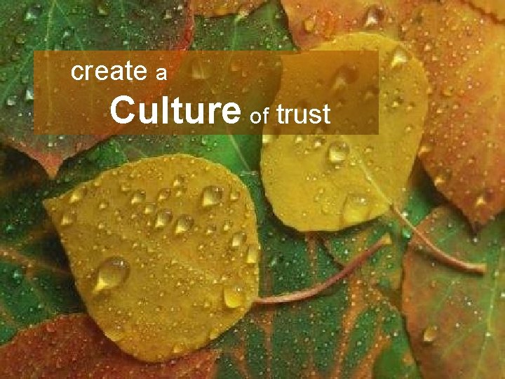 Unleashing Innovation create a Culture of trust Collaboration Process 