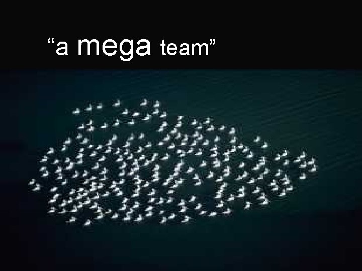 “a mega team” 