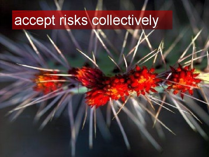 accept risks collectively 