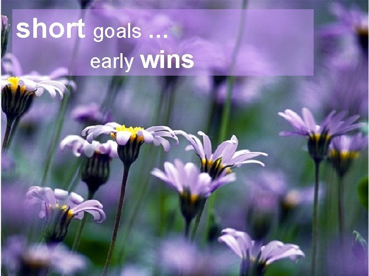 short goals … early wins 