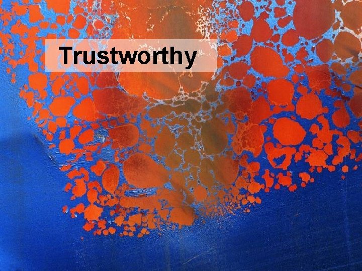 Project Management Trustworthy How Do We Deliver? 