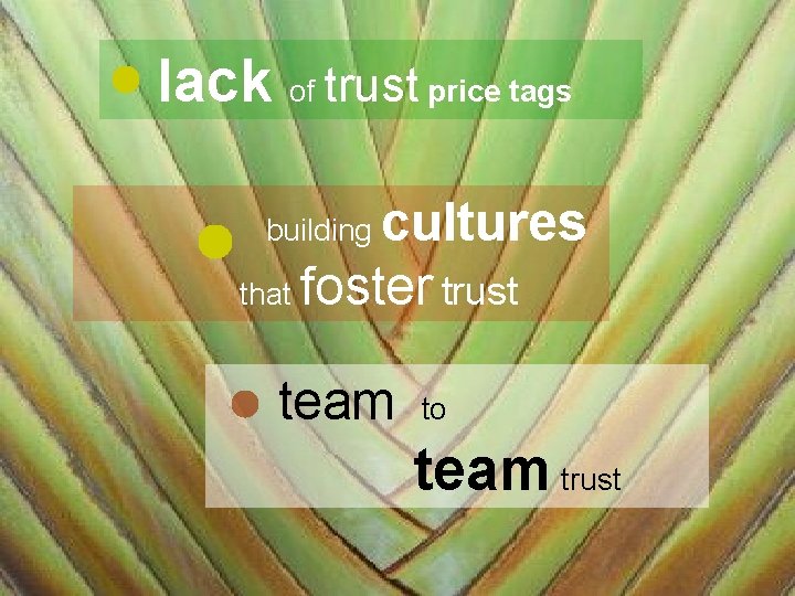 lack of trust price tags cultures that foster trust building team to team trust
