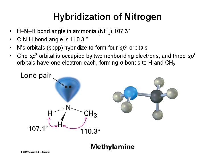 Hybridization of Nitrogen • • H–N–H bond angle in ammonia (NH 3) 107. 3°