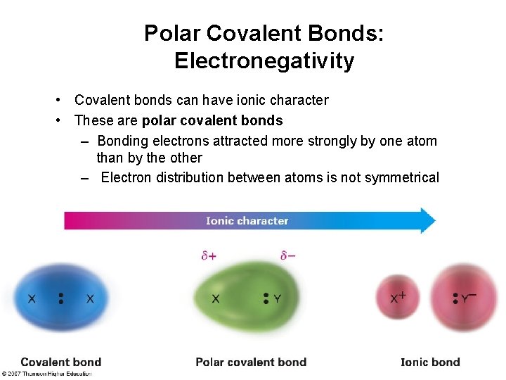 Polar Covalent Bonds: Electronegativity • Covalent bonds can have ionic character • These are