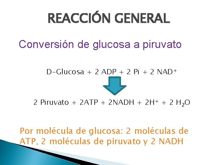 REACCIÓN GENERAL Conversión de glucosa a piruvato D-Glucosa + 2 ADP + 2 Pi