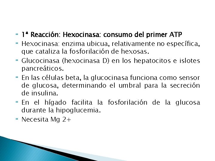  1ª Reacción: Hexocinasa: consumo del primer ATP Hexocinasa: enzima ubicua, relativamente no específica,