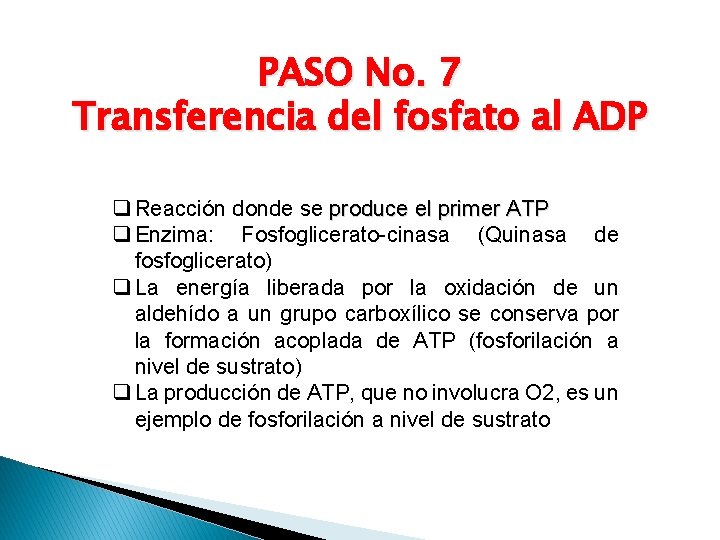 PASO No. 7 Transferencia del fosfato al ADP q Reacción donde se produce el