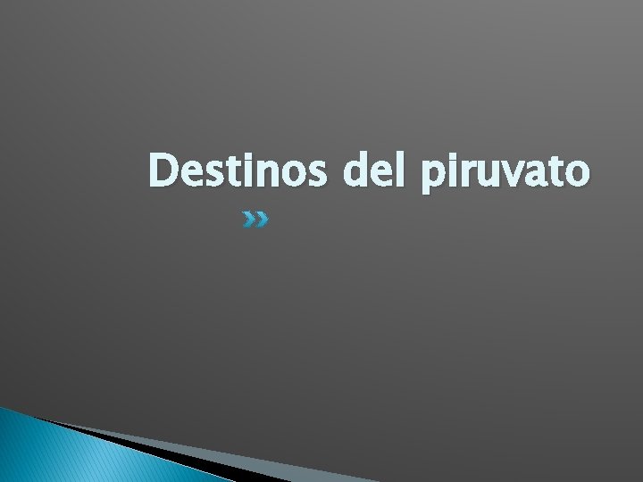 Destinos del piruvato 