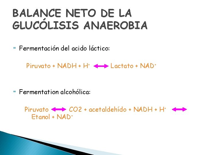 BALANCE NETO DE LA GLUCÓLISIS ANAEROBIA Fermentación del acido láctico: Piruvato + NADH +