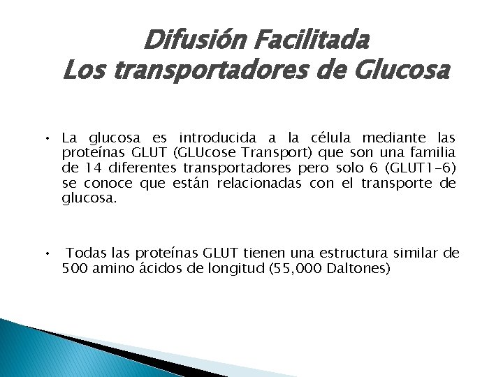 Difusión Facilitada Los transportadores de Glucosa • La glucosa es introducida a la célula