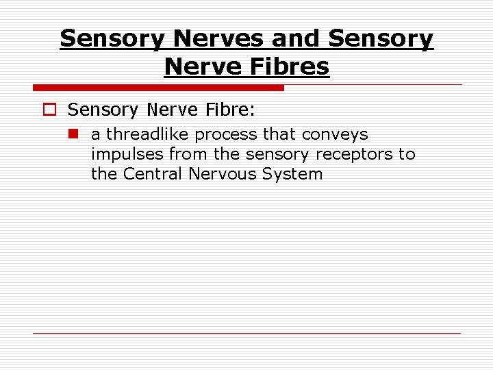 Sensory Nerves and Sensory Nerve Fibres o Sensory Nerve Fibre: n a threadlike process