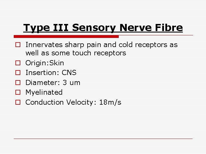 Type III Sensory Nerve Fibre o Innervates sharp pain and cold receptors as well