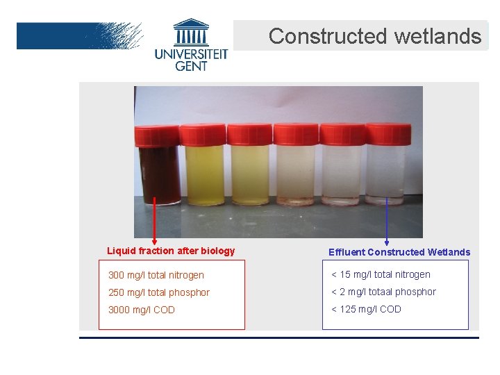 Constructed wetlands Liquid fraction after biology Effluent Constructed Wetlands 300 mg/l total nitrogen <