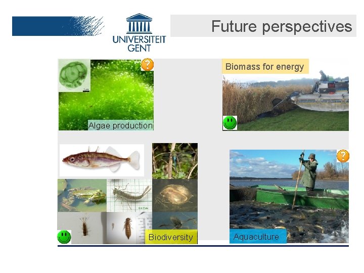 Future perspectives Biomass for energy Algae production Biodiversity Aquaculture 