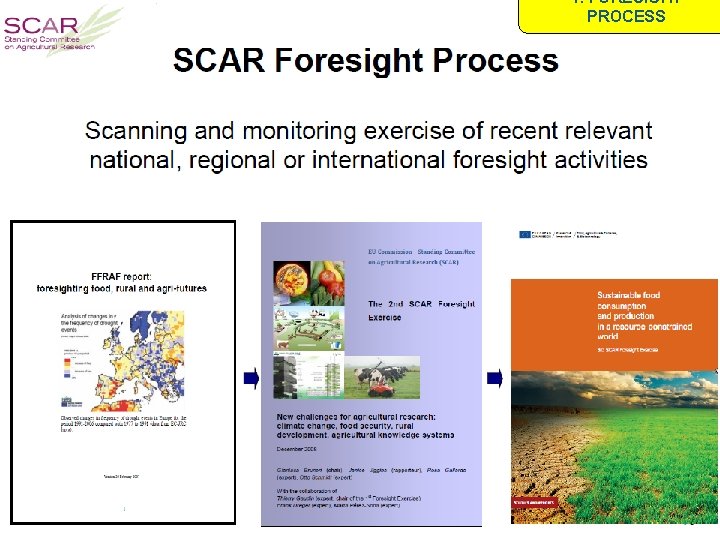 1. FORESIGHT PROCESS 