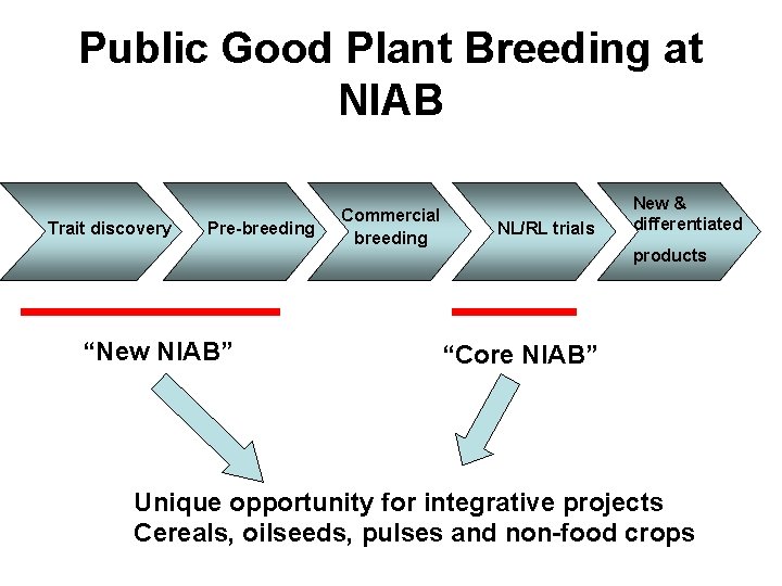 Public Good Plant Breeding at NIAB Trait discovery Pre-breeding “New NIAB” Commercial breeding NL/RL