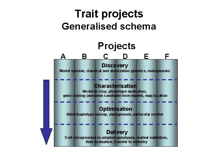 Trait projects Generalised schema Projects A B C D E F Discovery Model species,