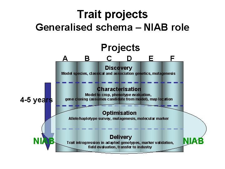 Trait projects Generalised schema – NIAB role Projects A B C D E F