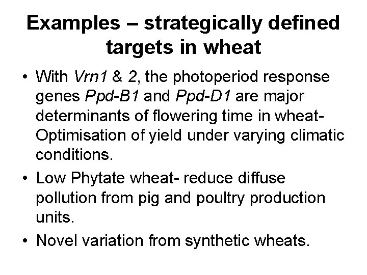 Examples – strategically defined targets in wheat • With Vrn 1 & 2, the