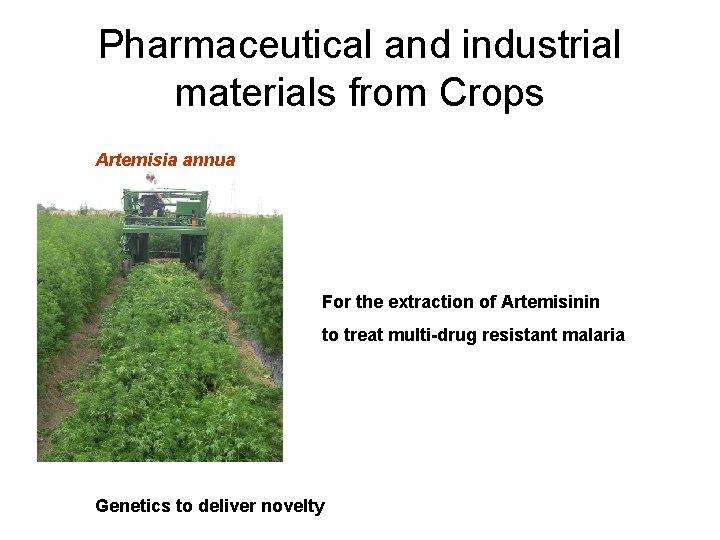 Pharmaceutical and industrial materials from Crops Artemisia annua For the extraction of Artemisinin to