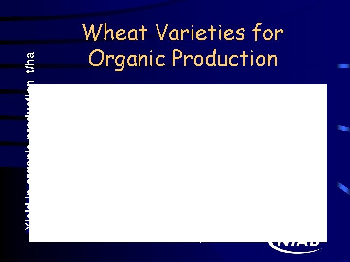Yield in organic production t/ha Wheat Varieties for Organic Production Genghis Consort Yield in