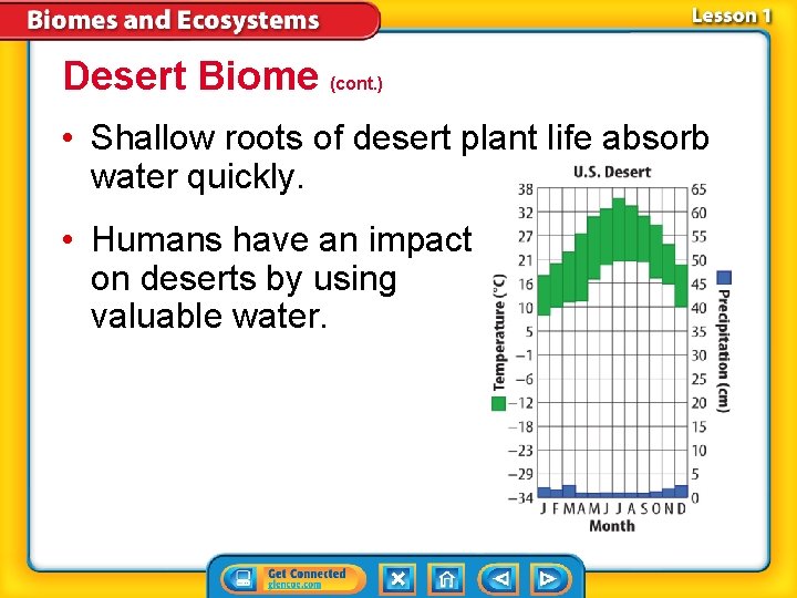 Desert Biome (cont. ) • Shallow roots of desert plant life absorb water quickly.