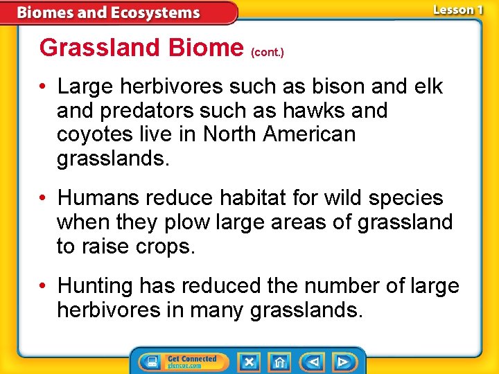 Grassland Biome (cont. ) • Large herbivores such as bison and elk and predators
