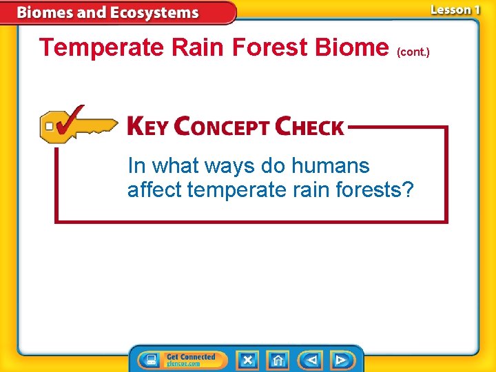 Temperate Rain Forest Biome (cont. ) In what ways do humans affect temperate rain