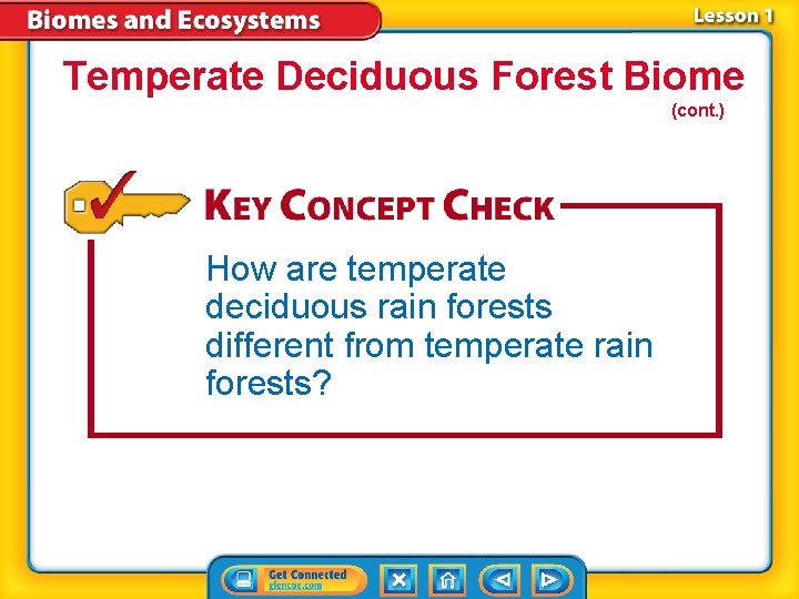 Temperate Deciduous Forest Biome (cont. ) How are temperate deciduous rain forests different from