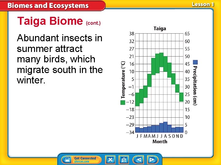 Taiga Biome (cont. ) Abundant insects in summer attract many birds, which migrate south