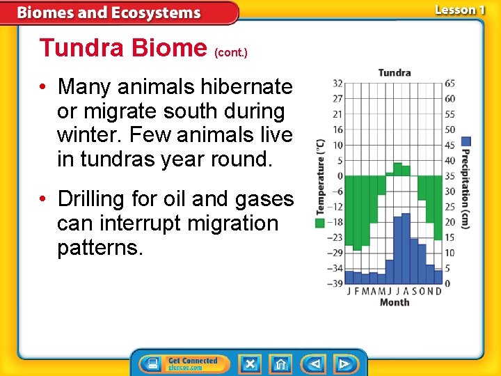 Tundra Biome (cont. ) • Many animals hibernate or migrate south during winter. Few