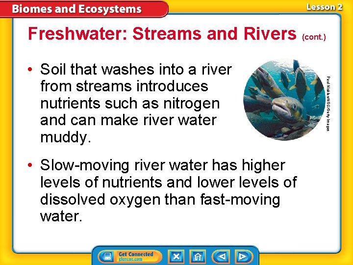 Freshwater: Streams and Rivers (cont. ) • Slow-moving river water has higher levels of