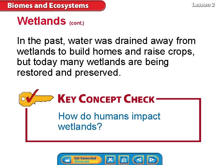 Wetlands (cont. ) In the past, water was drained away from wetlands to build