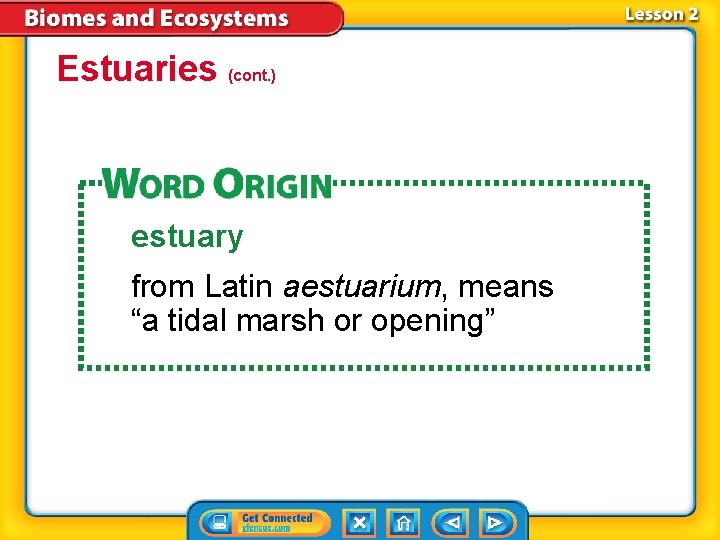 Estuaries (cont. ) estuary from Latin aestuarium, means “a tidal marsh or opening” 