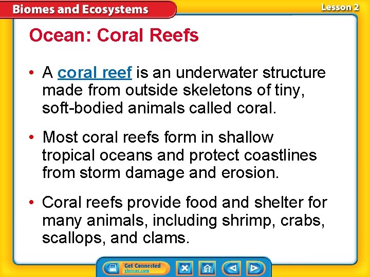 Ocean: Coral Reefs • A coral reef is an underwater structure made from outside