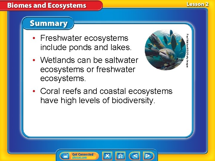  • Wetlands can be saltwater ecosystems or freshwater ecosystems. • Coral reefs and