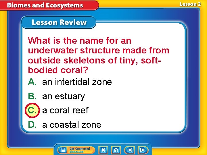 What is the name for an underwater structure made from outside skeletons of tiny,