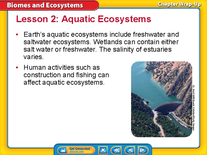 Lesson 2: Aquatic Ecosystems • Earth’s aquatic ecosystems include freshwater and saltwater ecosystems. Wetlands