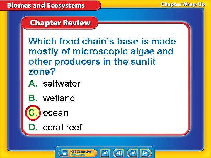 Which food chain’s base is made mostly of microscopic algae and other producers in