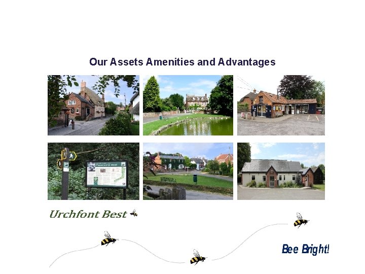 Our Assets Amenities and Advantages 